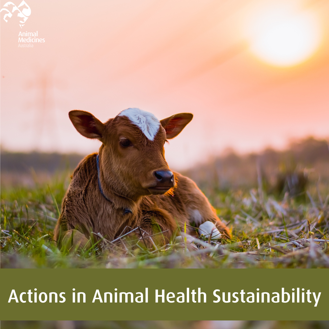 Animal Health Industry Animal Medicines Australia