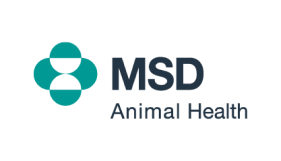 MSD